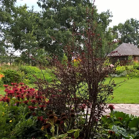 Holiday Home Lesne Echo Lisewiec